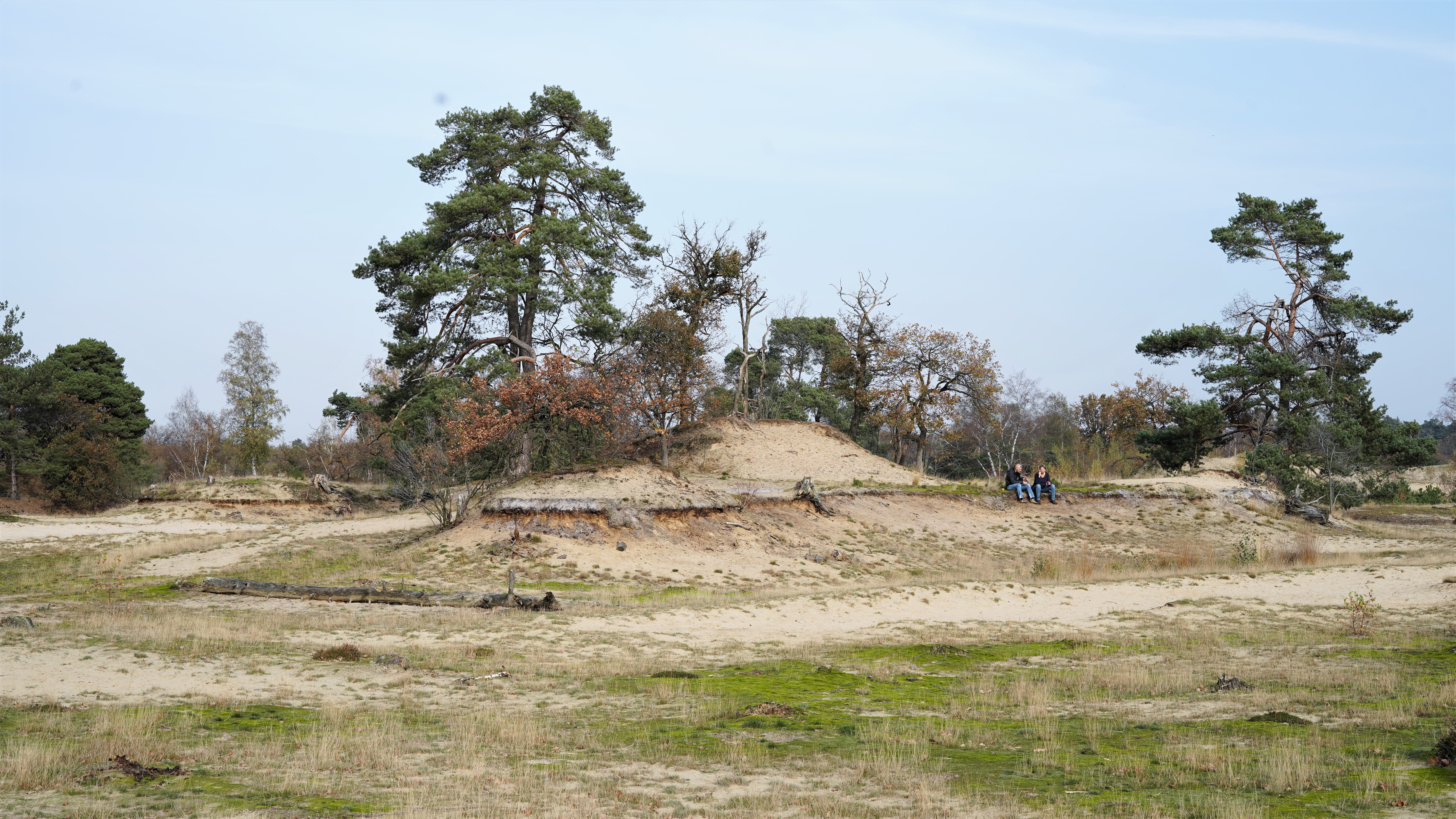 Inspiratie op doen in de natuur | DOOR Training & Coaching